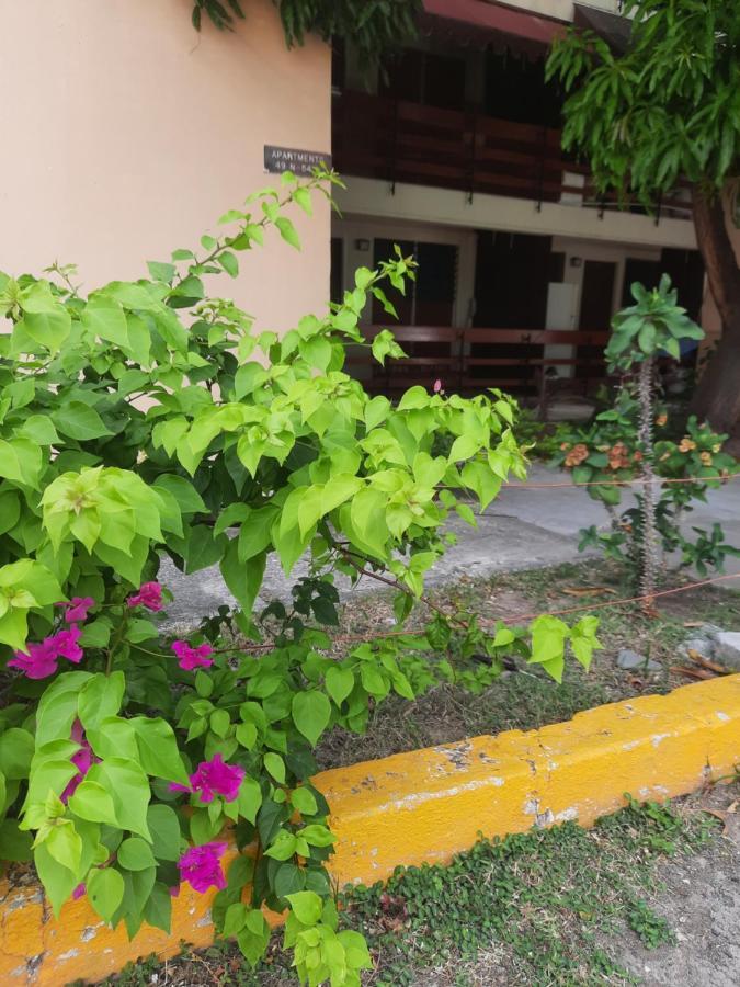 The Mango Lodge Kingston Dış mekan fotoğraf